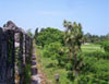 Gonio hotels